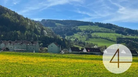Im Mostviertel blühen wieder die Bäume ... - Baugründe in wunderschöner, sonniger Lage! - Titelbild