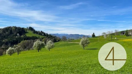 Bauträgerobjekt im Mostviertel - Baugründe in wunderschöner, sonniger Lage! - Titelbild