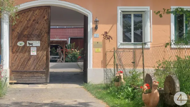 Bio-Landwirtschaft zur Übernahme! - Bild