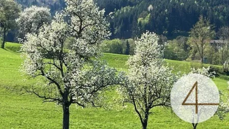 Niedrig-Energie-Bungalow - individuell planbar - Lehm für Ihre Wohngesundheit! Keine Anzahlung! - Bild