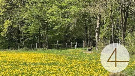 Niedrig-Energie-Bungalow - individuell planbar - Lehm für Ihre Wohngesundheit! Keine Anzahlung! - Bild