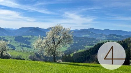 Niedrigenergie-Doppelhaushälfte - individuell planbar - keine Anzahlung!