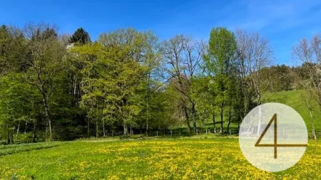 Für ein natürliches Wohlfühlerlebnis – Keine Anzahlung - individuell planbare Doppelhaushälfte in sonniger Lage! - Bild