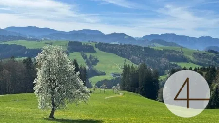 Sonniges Baugrundstück in wunderschöner Lage im Mostviertel! - Bild