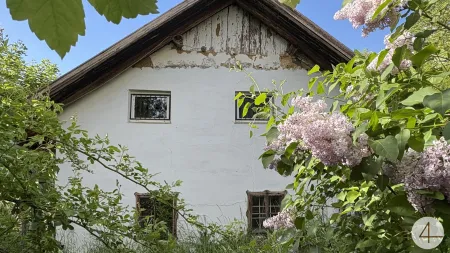 IDYLLE PUR! Perfekte Anbindung! Bauernsacherl zum verlieben! KEIN BAUZWANG!