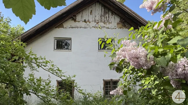 IDYLLE PUR! Perfekte Anbindung! Bauernsacherl zum verlieben! KEIN BAUZWANG! - Titelbild
