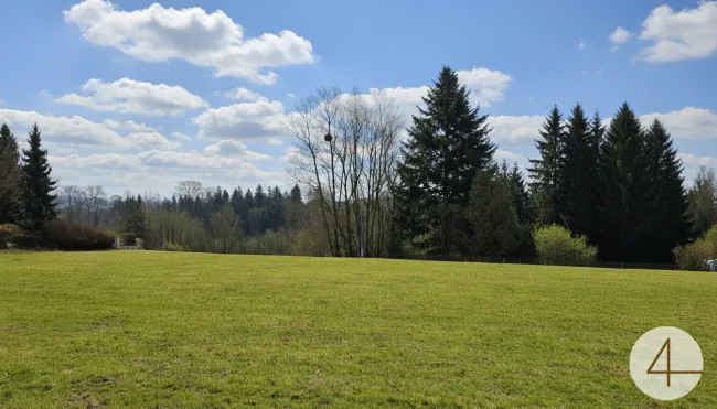 Projektierbares Baugrundstück! Der Untergrund für Ihr neues Projekt - Bild