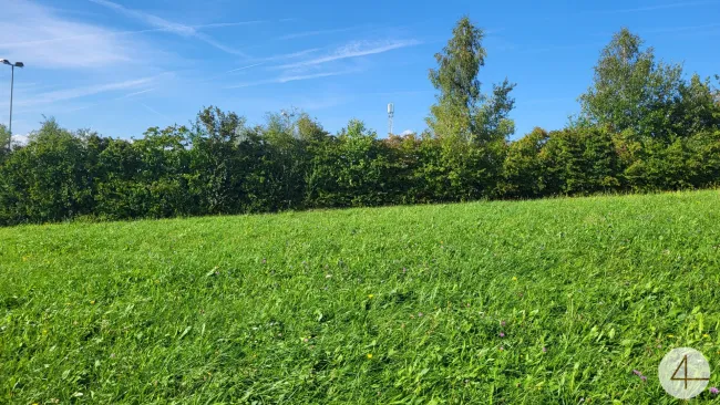 Verwirklichen Sie sich Ihren Traum vom eigenen Zuhause - Bild