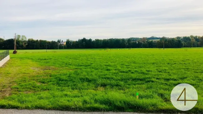 Belagsfertiges Haus in Andorf, Naturnahe in Dorflage Erlau, Aktion um 379.000 Euro - Bild
