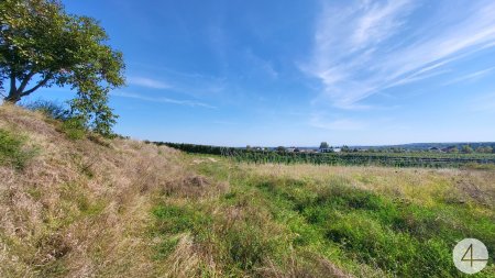 Baubehördlich bewilligtes Grundstück 5 Wohnungen WNFl. gesamt 476,31 m2