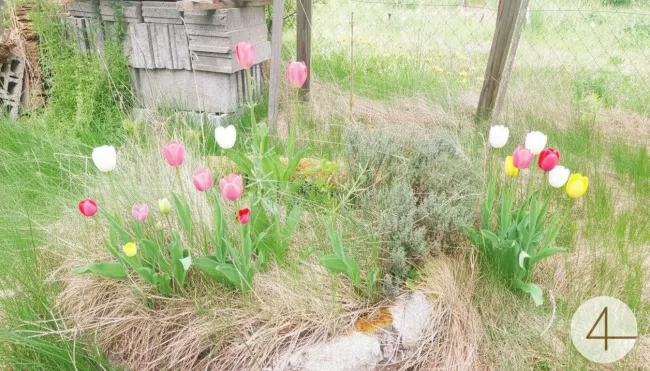 Einfamilienhaus mit Werkstatt - Titelbild
