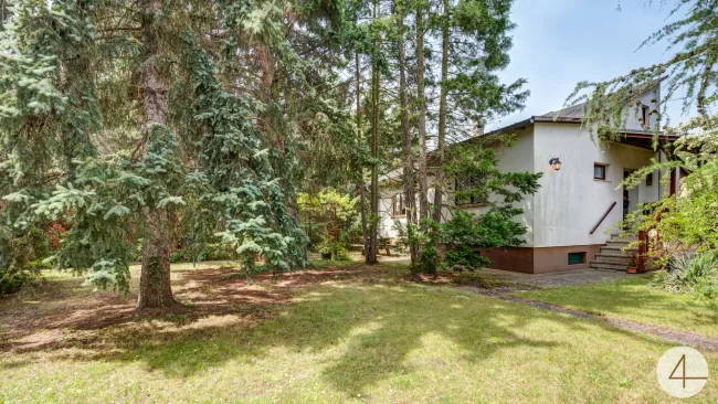 RESERVIERT ! Großes 800m2 Eckgrundstück mit kleinem Häuschen ! - Bild