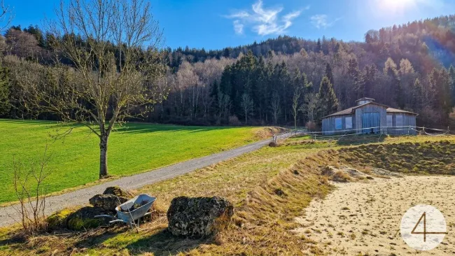 Landwirtschaft mit Pferdewirtschaft in Texingtal (NÖ) – ohne Wohnhaus - Bild