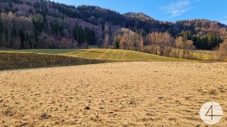 Landwirtschaft mit Pferdewirtschaft in Texingtal (NÖ) – ohne Wohnhaus