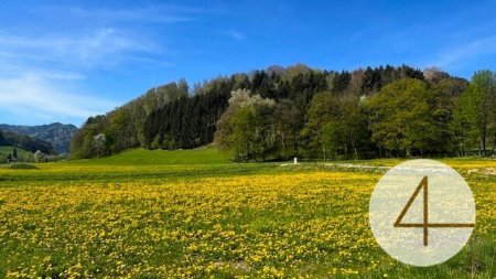 Apfelblüte im Mostviertel - Baugründe in wunderschöner, sonniger Lage!