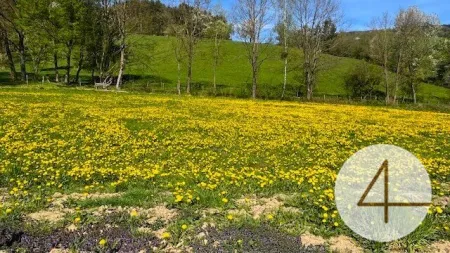 Apfelblüte im Mostviertel - Baugründe in wunderschöner, sonniger Lage! - Titelbild