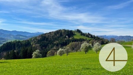 Apfelbaumblüte vor Ihrem Haus im schönen Mostviertel - Baugründe in wunderschöner, sonniger Lage!