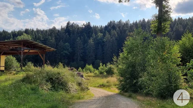 Gewerbeobjekt - gewerbliche Tierhaltung möglich! - Titelbild