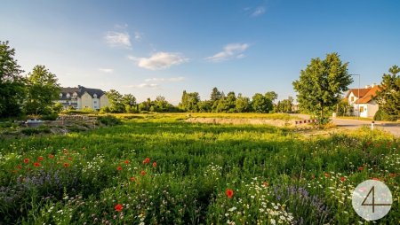 Schönes ebenes Baugrundstück in Traismauer – Ideal für Ihr Einfamilienhaus!