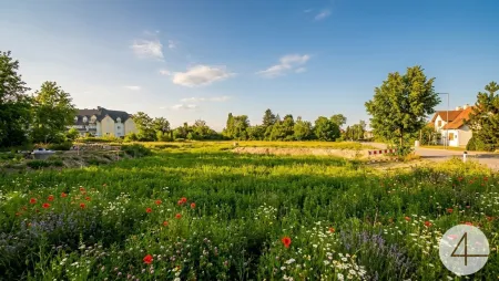 Schönes ebenes Baugrundstück in Traismauer – Ideal für Ihr Einfamilienhaus!