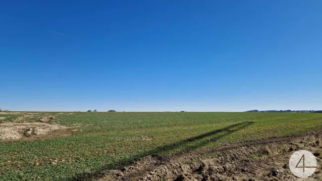 Baugründe in Pollham sonnig in erhöhter Lage ab 77550,-- - Bild
