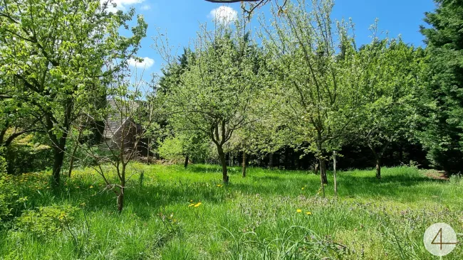 Wildromantisches Grundstück mit charmantem Bauernhof! - Bild