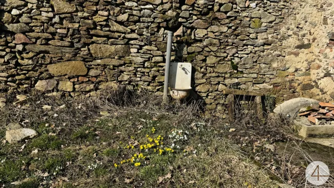 Idyllische Ortsrandlage - Bild
