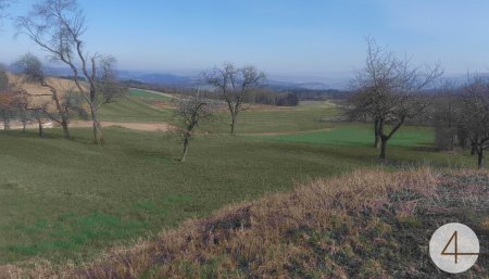 Tierhaltung und Gewerbe möglich!