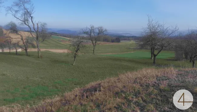 Tierhaltung und Gewerbe möglich! - Bild