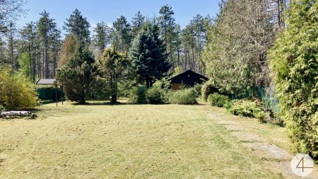 Ruhig wohnen im Grünen - wenige Minuten nach Wiener Neustadt - 804m² Baugrundstück - direkt neben dem Wald - nahe Golfplatz & Therme
