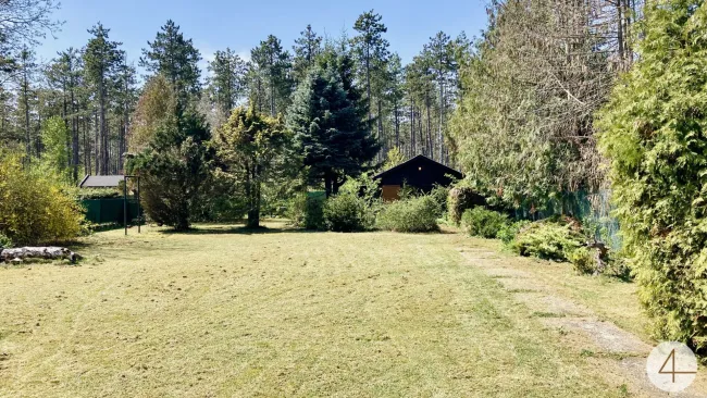 Ruhig wohnen im Grünen - wenige Minuten nach Wiener Neustadt - 804m² Baugrundstück - direkt neben dem Wald - nahe Golfplatz & Therme - Bild