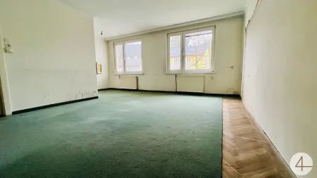 450m zur Schnellbahn - Mach es zu deinem Projekt - Grünblick - Stadtzentrum fußläufig