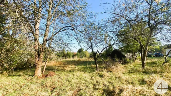 Idyllische Romantik im Waldviertel! - Bild