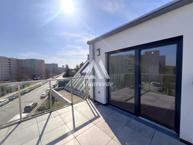 Zimmer 3 Terrasse