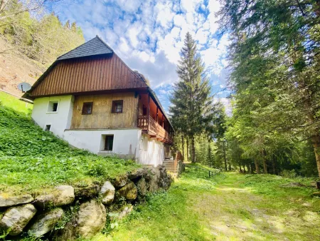 Pusterwald: zurück zum Ursprung - Wohnhaus in idyllischer Lage