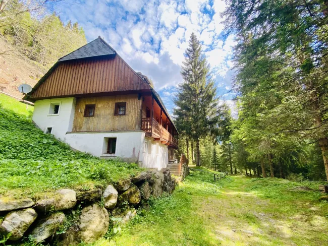 Pusterwald: zurück zum Ursprung - Wohnhaus in idyllischer Lage - Titelbild