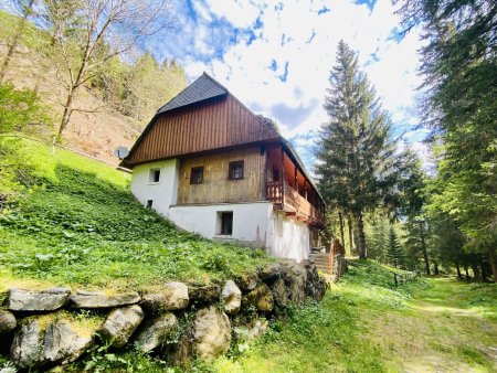 Pusterwald: zurück zum Ursprung - Wohnhaus in idyllischer Lage