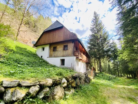 Pusterwald: zurück zum Ursprung - Wohnhaus in idyllischer Lage