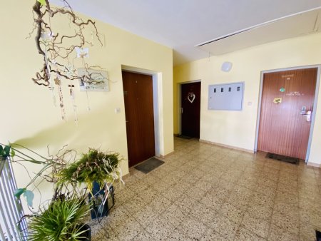 Apfelberg: 3-Zimmer-Wohnung mit Loggia: jetzt nach eigenem Geschmack fertigstellen