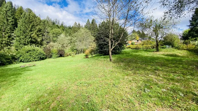 Weißkirchen: Idyllisches Baugrundstück im Grünen mit vielfältigen Gestaltungsmöglichkeiten - Bild