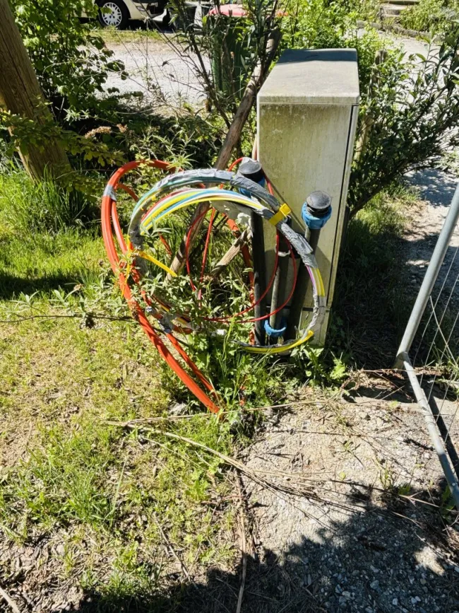 Ihr Bauprojekt kann beginnen: Top-Grundstück in St. Peter mit Bewilligung & Infrastruktur - Bild