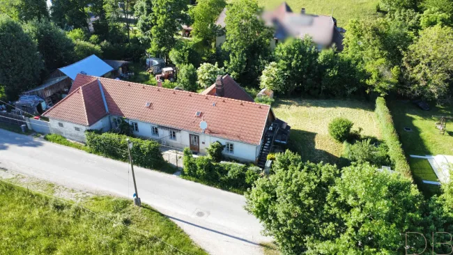 DB IMMOBILIEN | Großes Grundstück- Große Möglichkeiten - Bild