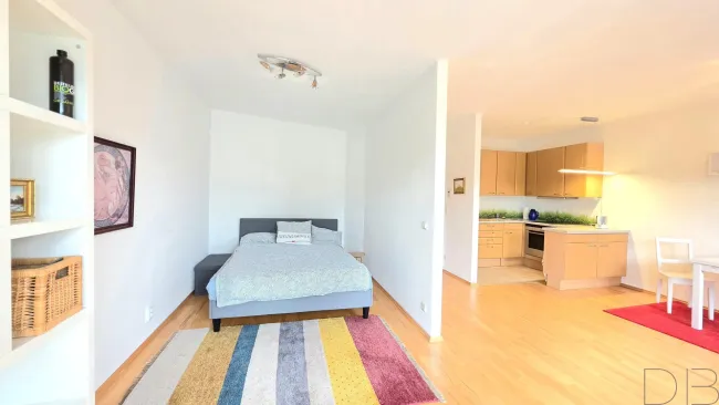 DB IMMOBILIEN | Charmante 1-Zimmer-Wohnung mit Balkon und Stellplatz - Bild