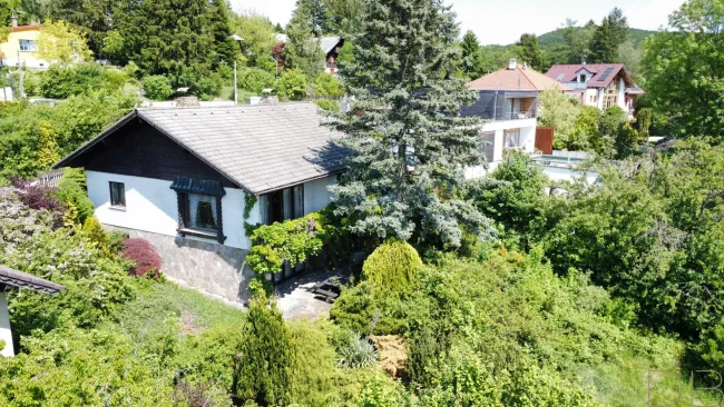 DB IMMOBILIEN | Einfamilienhaus mit ruhiger Aussichtslage! - Bild
