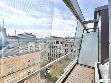 Bestlage Börseplatz und unbefristet! Sonnendurchflutetes 3-Zimmer-Penthouse mit Südost-Terrasse