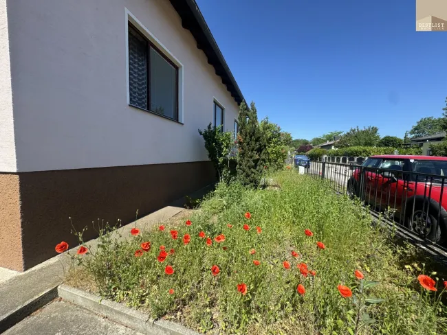 Charmanter Bungalow mit großem Garten und viel Potenzial in Felixdorf - Bild