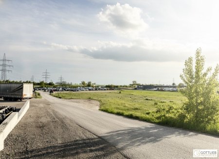 Nähe Flughafen und Stadtgrenze Wien! Großes Gewerbegrundstück mit LKW-Zufahrt und vielfältigen Nutzungsmöglichkeiten