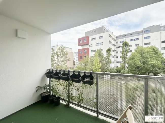 Nähe Schloss Neugebäude! Bis November 2026 befristet vermietete sonnige 2-Zimmer-Wohnung mit Loggia und Tiefgaragenplatz in Grünruhelage - Titelbild
