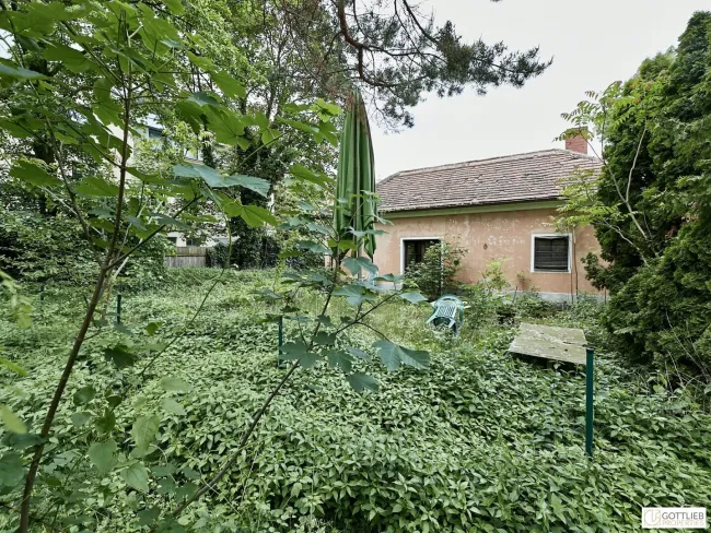 Schönes Doppel-Eckgrundstück mit Eigengarten und viel Potential - Titelbild