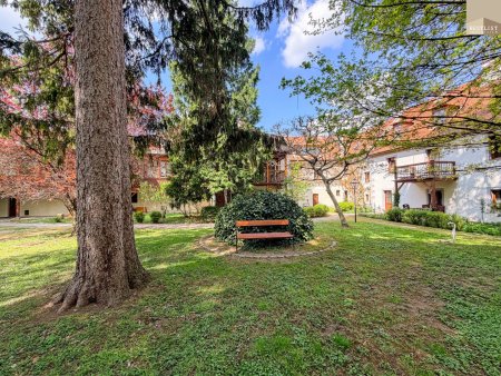 TOP LAGE - Charmante Dachgeschosswohnung in Baden
